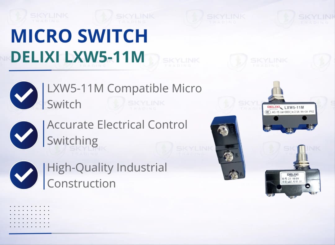 MICRO SWITCH: DELIXI LXW5-11M